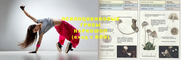 наркотики Алексин