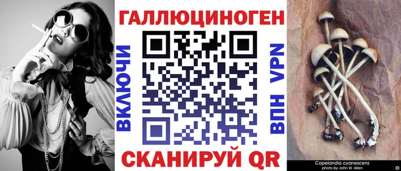 Галлюциногенные грибы прущие грибы  блэк спрут tor  Камышин 