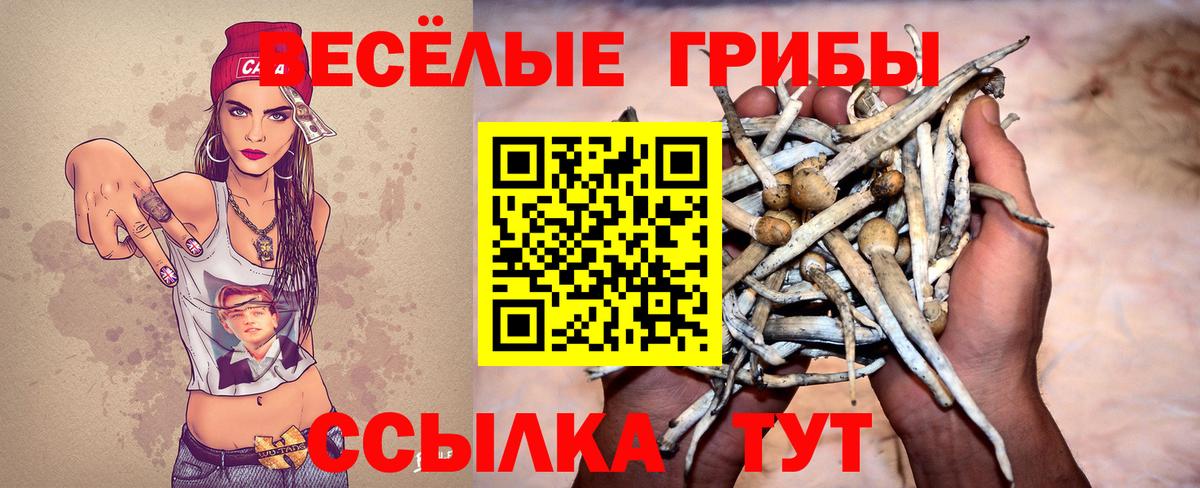 купить закладку  Псилоцибиновые грибы мухоморы  Вход с VPN  Камышин  Галлюциногенные грибы Psilocybe 