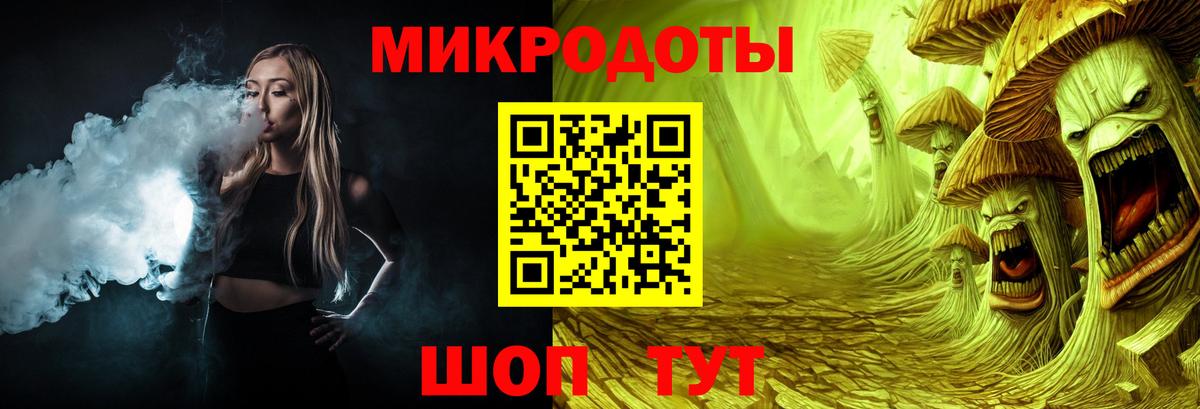 Галлюциногенные грибы Psilocybine cubensis Камышин