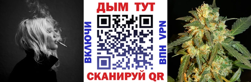 МЕГА как войти  Камышин  Бошки Шишки Bruce Banner 